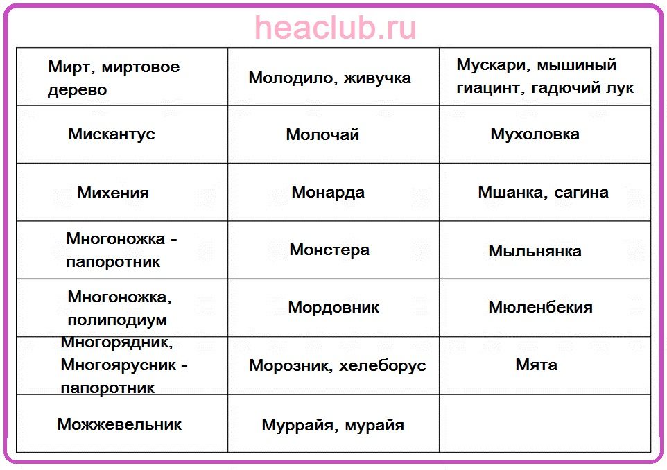 Названия цветов на "м" таблица