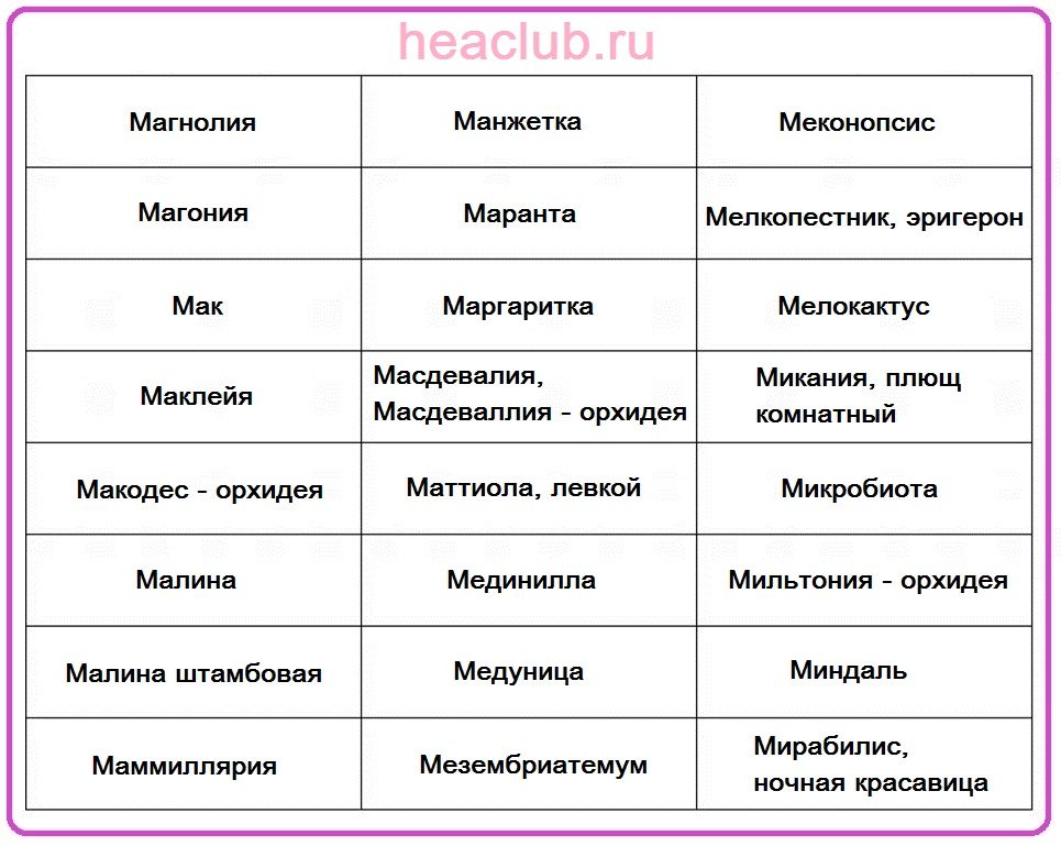 Названия цветов на "м" таблица