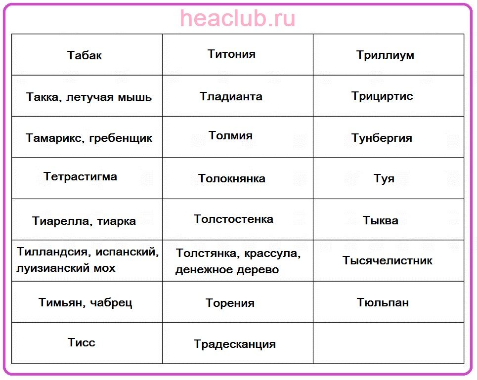 Названия цветов на "т" таблица
