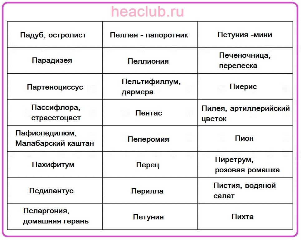 Названия цветов на "п" таблица