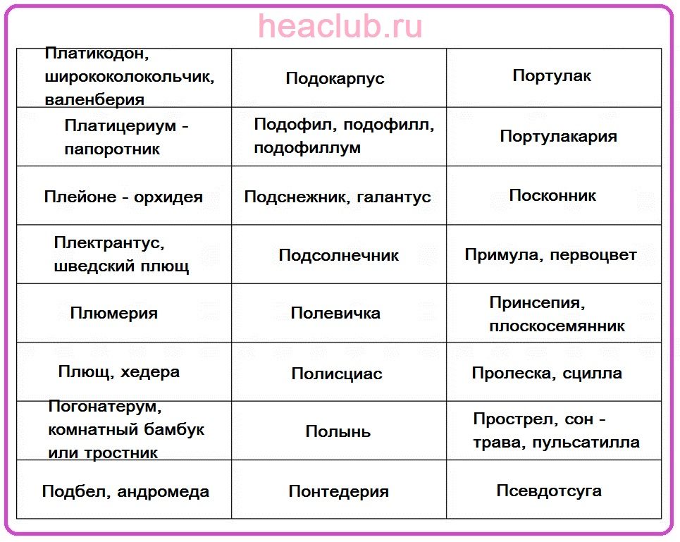 Названия цветов на "п" таблица
