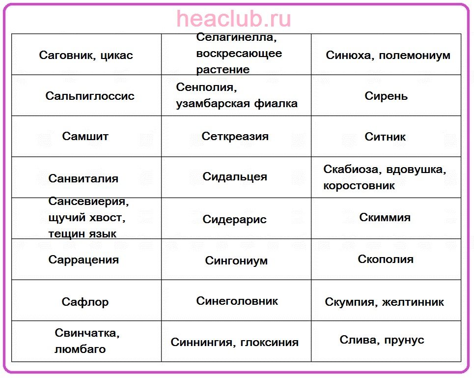 Названия цветов на "с" таблица