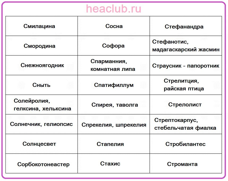 Названия цветов на "с" таблица