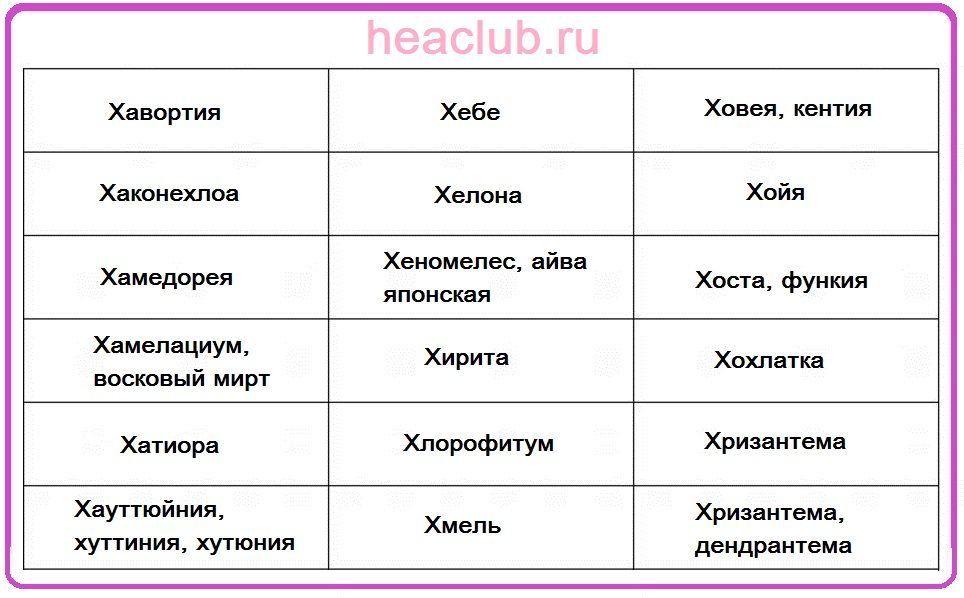 Названия цветов на "х" таблица