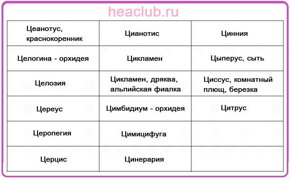Названия цветов на "ц" таблица