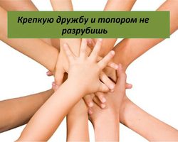 «Крепкую дружбу и топором не разрубишь»: значение и происхождение пословицы, примеры из жизни и литературы