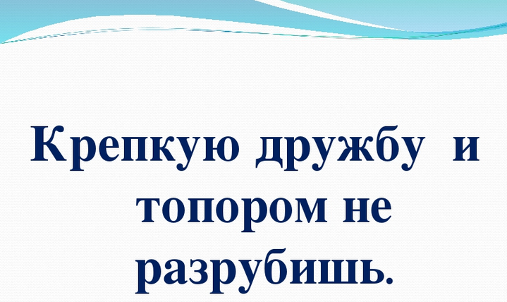 «крепкую дружбу и топором не разрубишь»