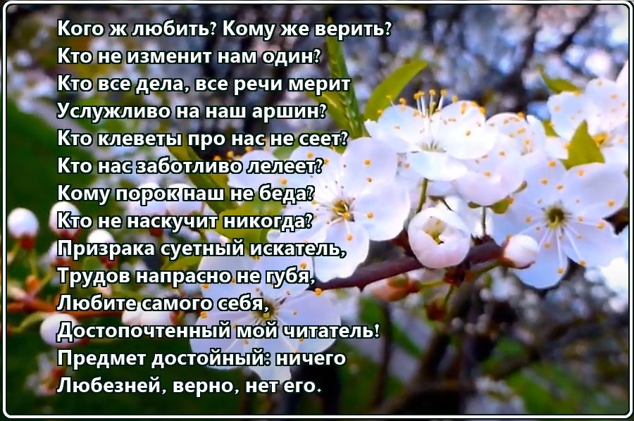 Дай руку - по локоть откусят