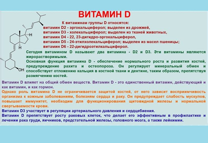Обзор
