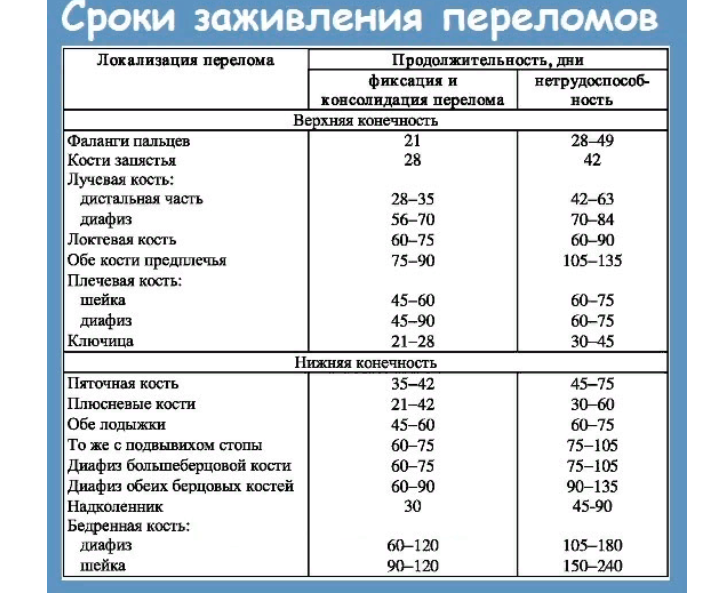 Сроки заживления переломов