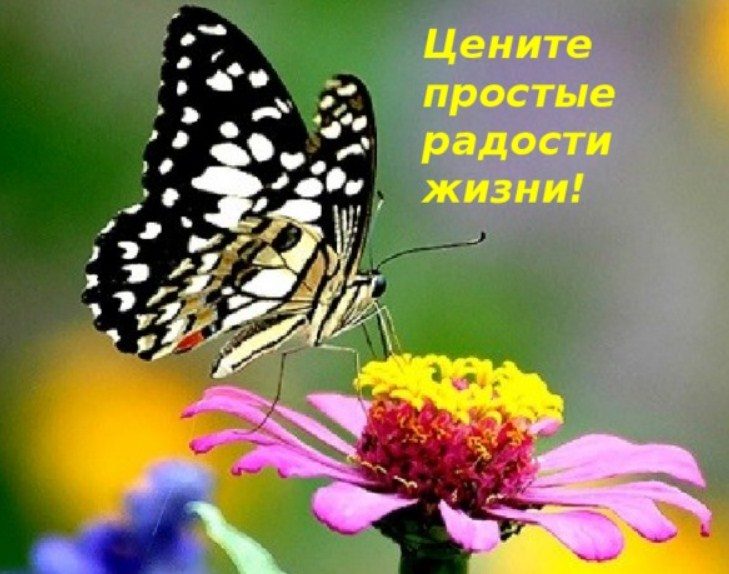 Цените минуты счастья