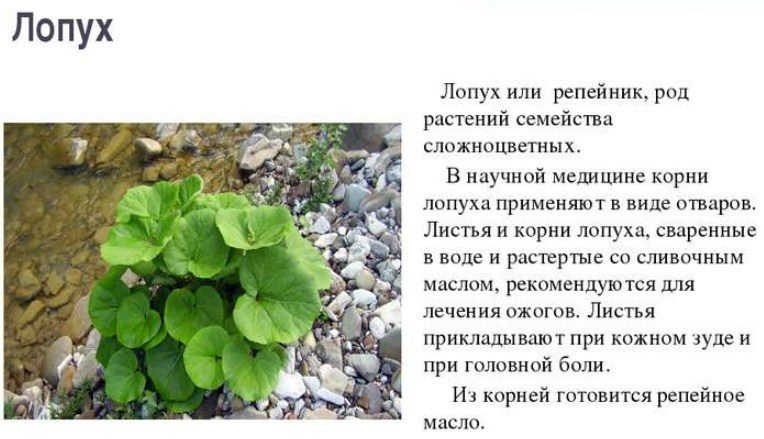 Описание