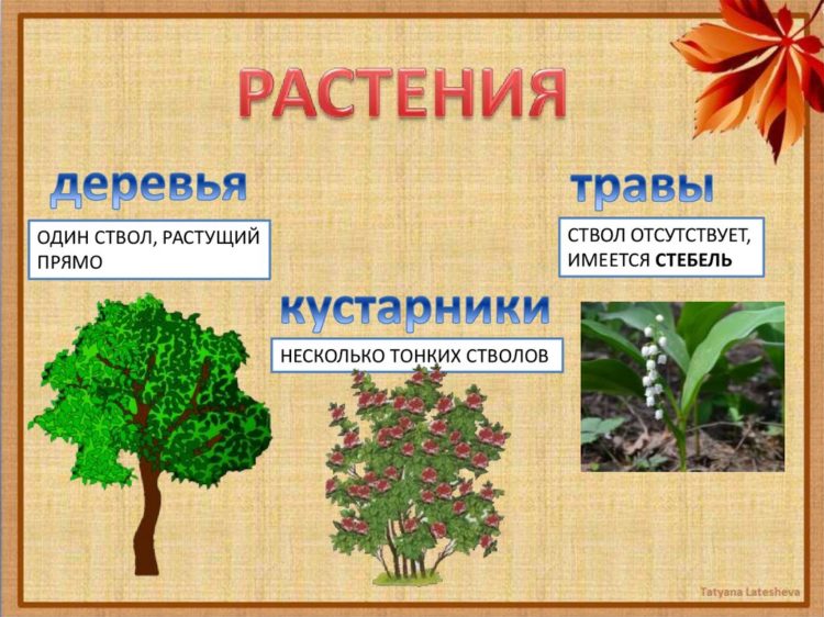 Разница