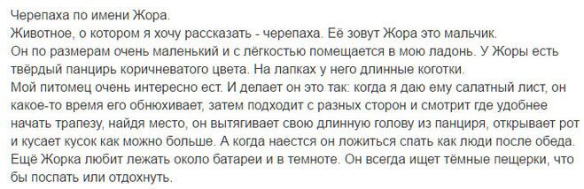 Сочинение про черепаху жору