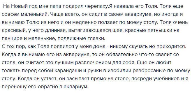 Сочинение про черепаху толю