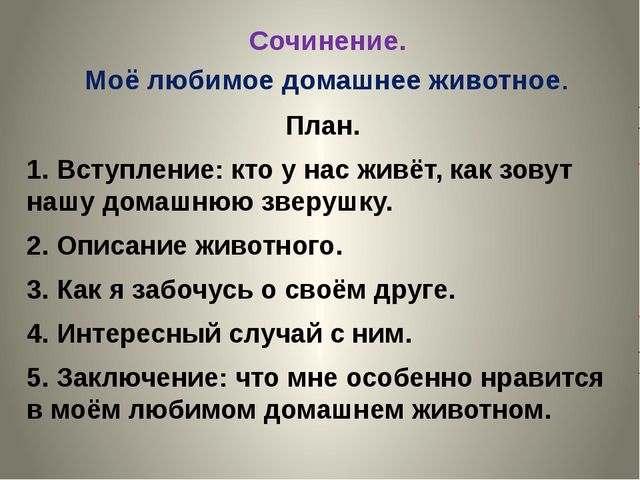 План сочинения для 5 класса на тему «мое любимое животное»