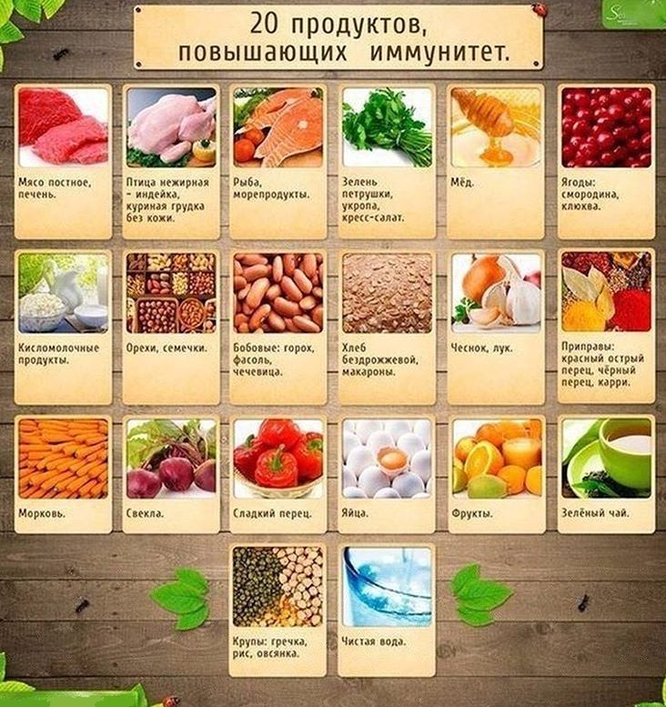 Продукты питания для улучшения иммунитета