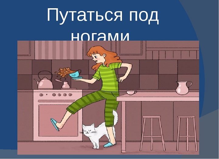 Прямое значение фразы