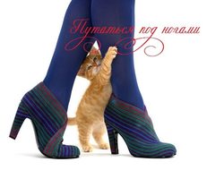 «Путаться под ногами»: происхождение, прямое и переносное значение фразеологизма, объяснение одним словом, примеры предложений