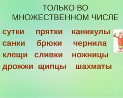 Предметы, названия которых всегда во множественном числе: правила, примеры предложений с имена существительными