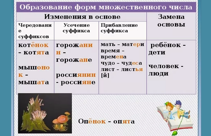 Правило образования существительного множественного числа