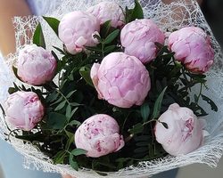 Как сохранить букет пионов в вазе дольше? Сколько стоят пионы в воде? Что добавить в воду, чтобы сохранить пионы в вазе дольше: советы флористов