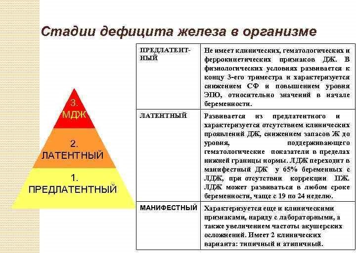 Стадии