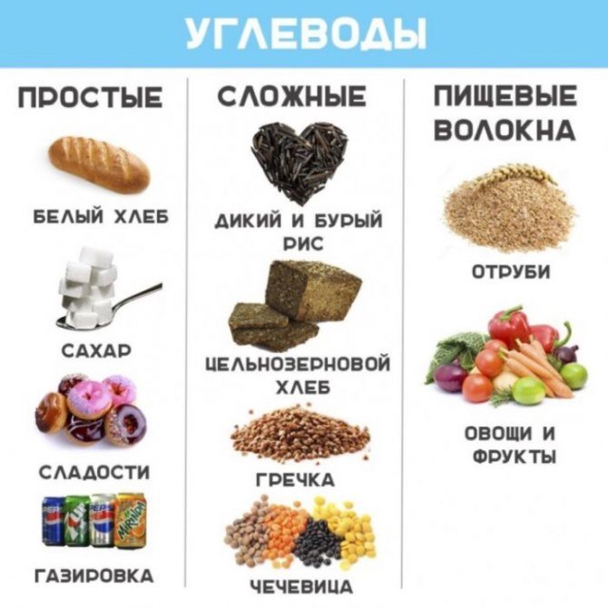 Виды углеводов