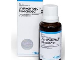 Лимфомиозот: инструкция по применению, цена, отзывы