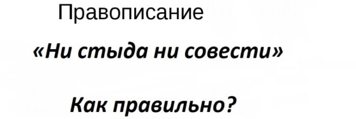 «ни стыда ни совести»
