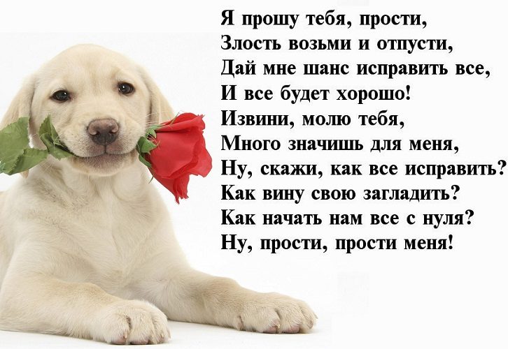 Прости!