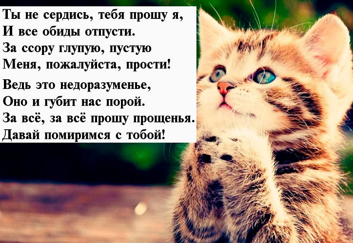 Стих