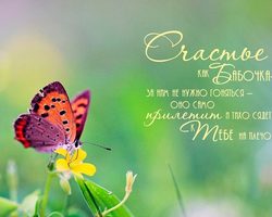 Сочинение для ОГЭ, ЕГЭ: как вы понимаете значение слова счастье?