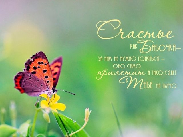 Сочинение для ОГЭ, ЕГЭ: как вы понимаете значение слова счастье?