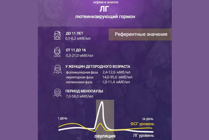 Норма лг