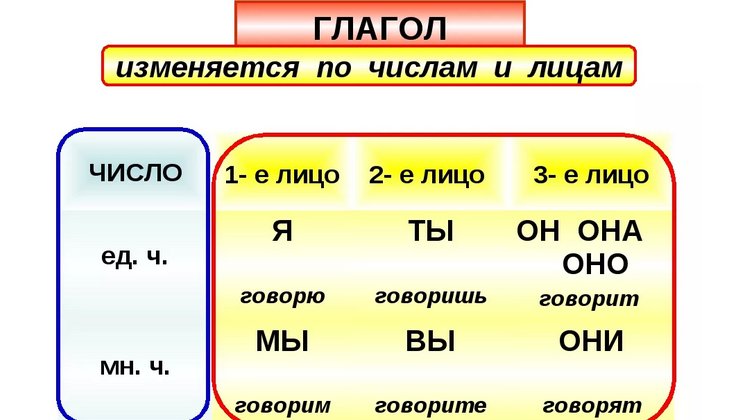 Глагол изменяется по числам и лицам