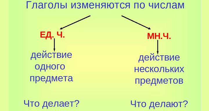 Форма числа глаголов