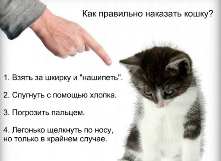 Наказываем правильно!