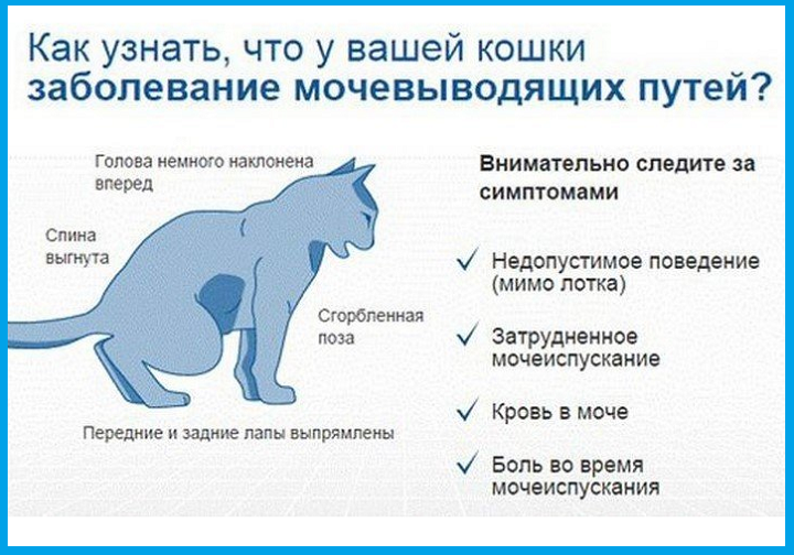 Будьте внимательны!
