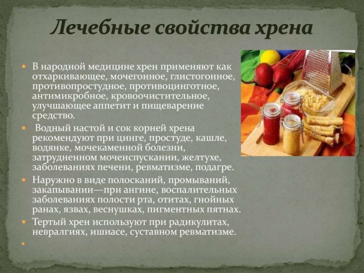 Лечебные свойства хрена
