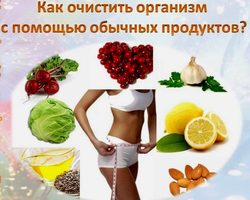 Какие продукты чистят кишечник, полезны и нормализуют работу кишечника: список, советы