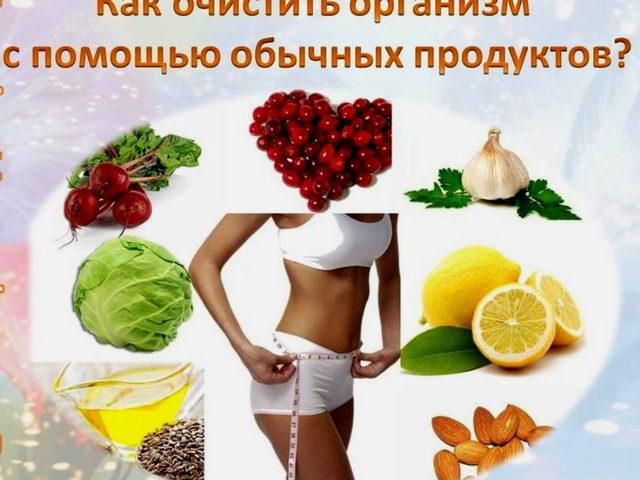 Какие продукты чистят кишечник, полезны и нормализуют работу кишечника: список, советы