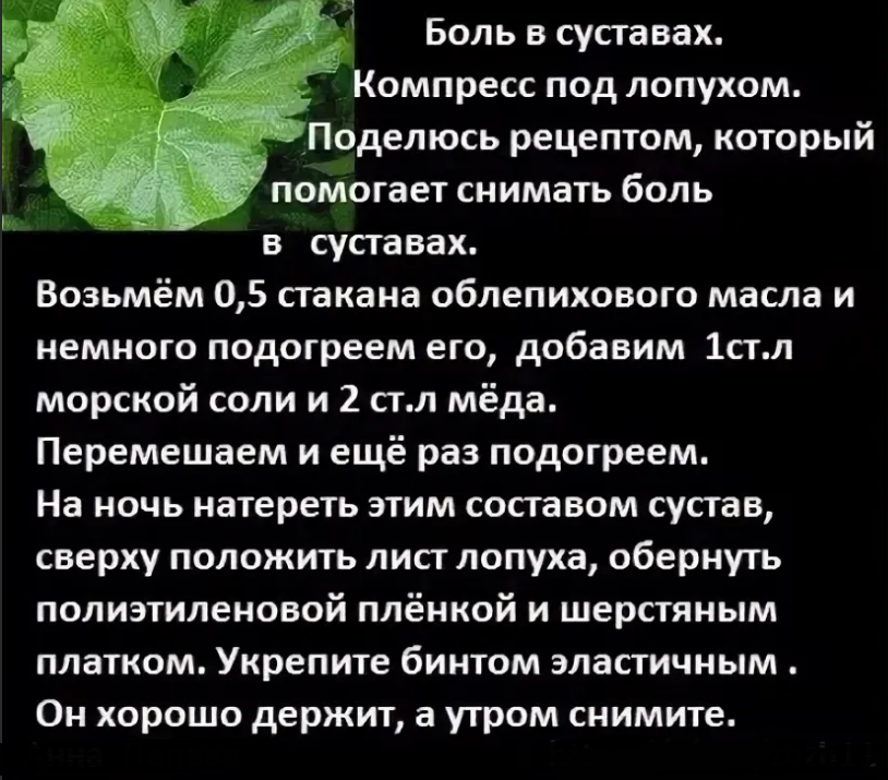 Рецепт с листом лопуха при болях в суставе