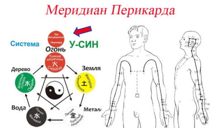 Для сердца