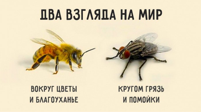 Басни крылова для детей дошкольного и школьного возраста
