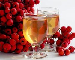 Вино из красной рябины в домашних условиях: простой рецепт, советы