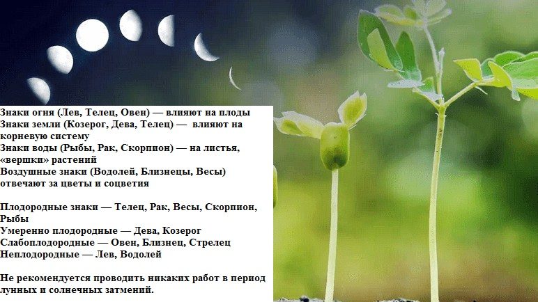 Влияние знака