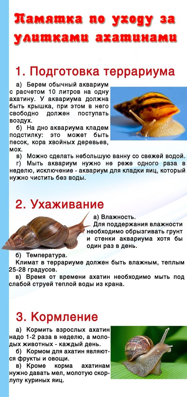 Важная информация