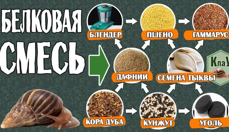 Также вы можете приготовить белковую смесь