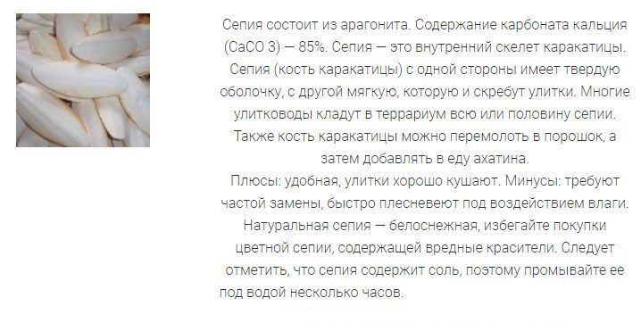 Сепия